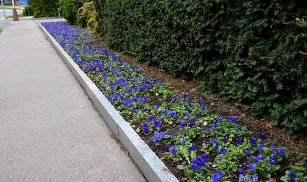 Grow your Landscaping Curb Installation business