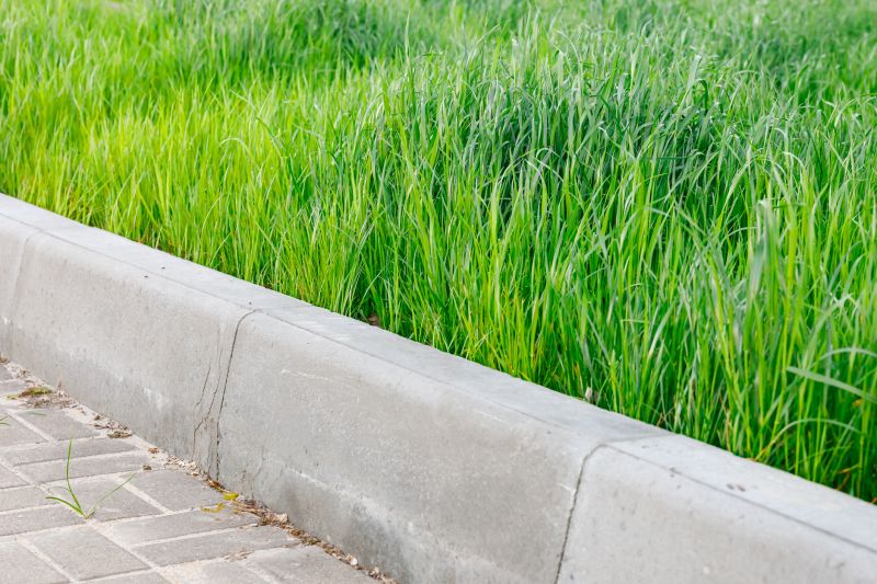 Landscaping Curb Installation